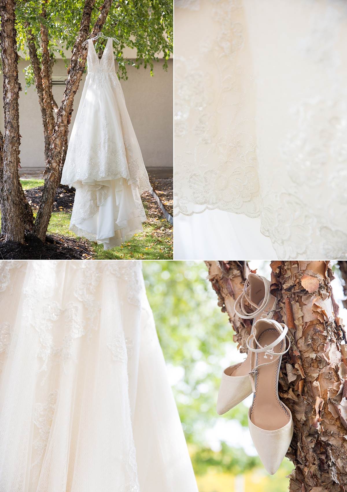 wedding gown from spybaby bridal in syracuse, wedding gown hangs from birch tree